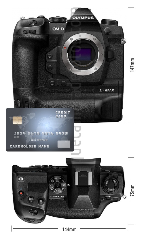 Sensor Micro 4/3 Live MOS