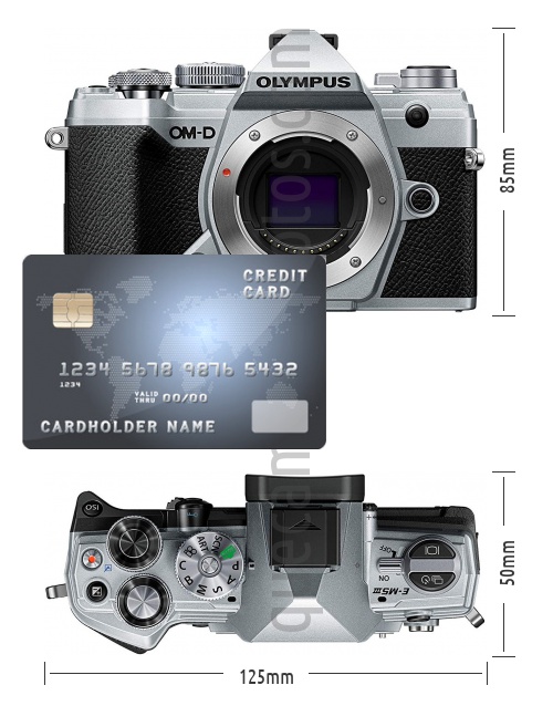 Sensor micro 4/3 Live Mos 20Mp