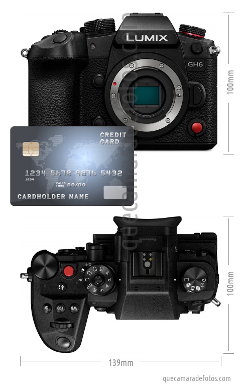 Live MOS Sensor Micro 4/3