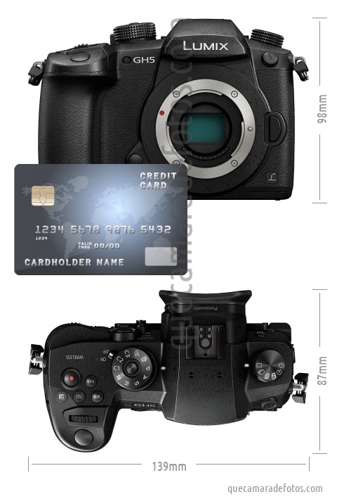 Live MOS Sensor Micro 4/3