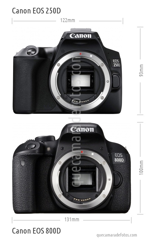Canon EOS 250D vs Canon EOS 800D