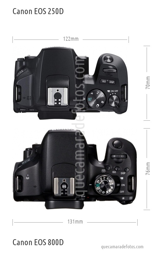 Canon EOS 250D vs Canon EOS 800D
