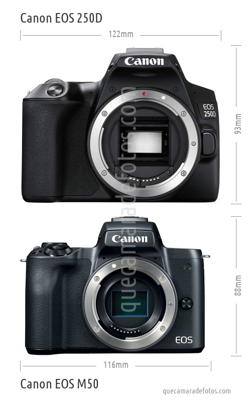Canon EOS 250D vs Canon EOS M50