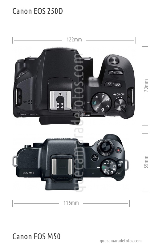 Canon EOS 250D vs Canon EOS M50