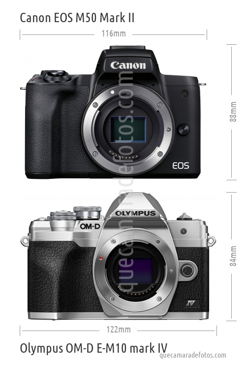 Canon EOS M50 Mark II vs Olympus OM-D E-M10 mark IV