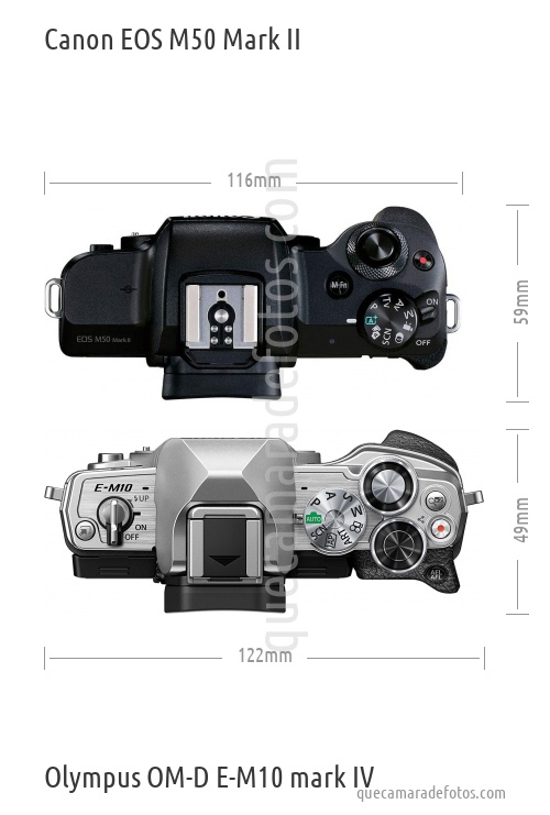 Canon EOS M50 Mark II vs Olympus OM-D E-M10 mark IV