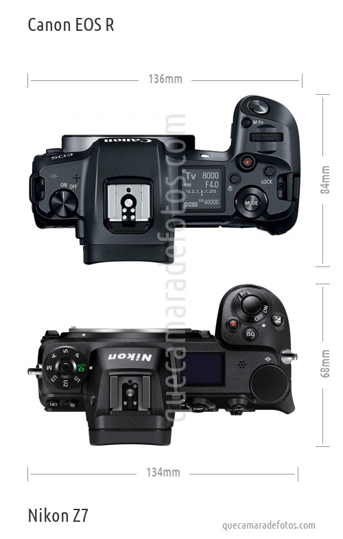 Canon EOS R vs Nikon Z7