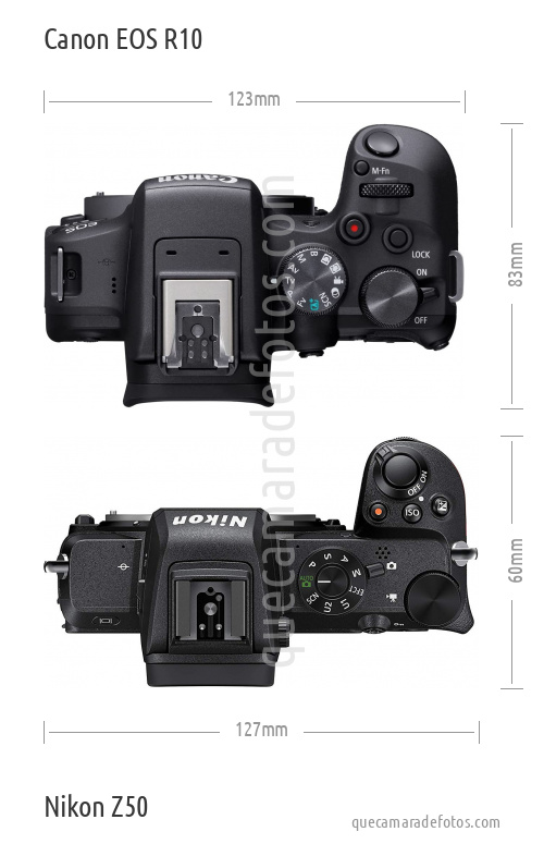 Canon EOS R10 vs Nikon Z50