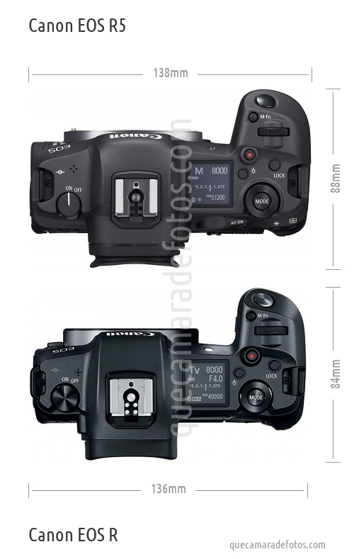 Canon EOS R5 vs Canon EOS R