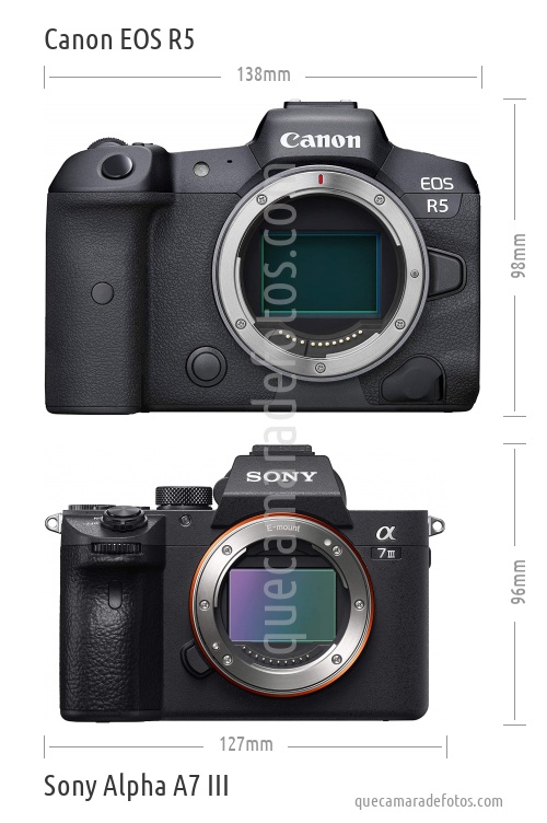 Canon EOS R5 vs Sony Alpha A7 III