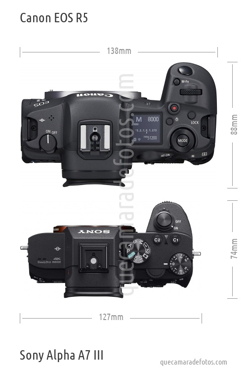 Canon EOS R5 vs Sony Alpha A7 III