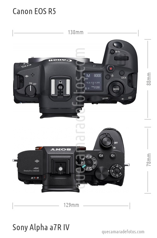 Canon EOS R5 vs Sony Alpha a7R IV
