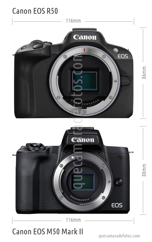 Canon EOS R50 vs Canon EOS M50 Mark II
