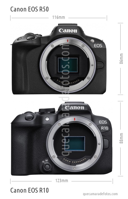 Canon EOS R50 vs Canon EOS R10
