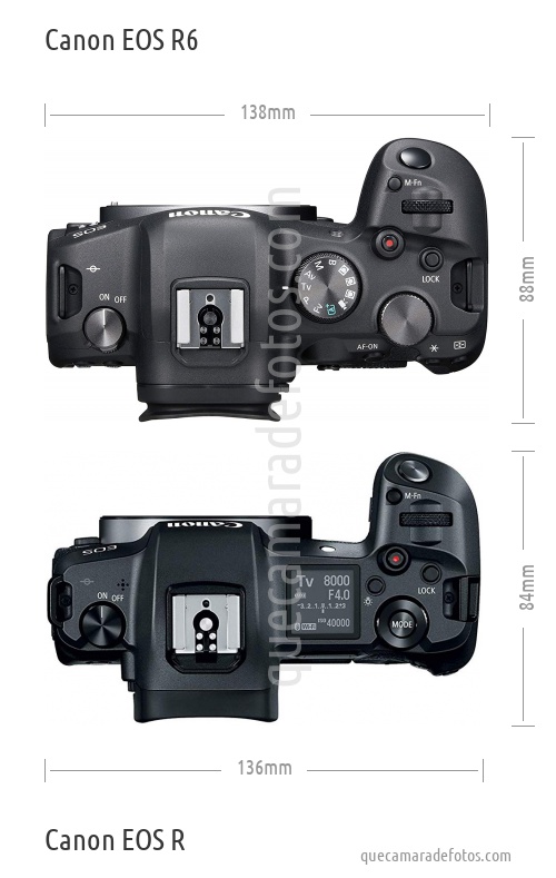 Canon EOS R6 vs Canon EOS R