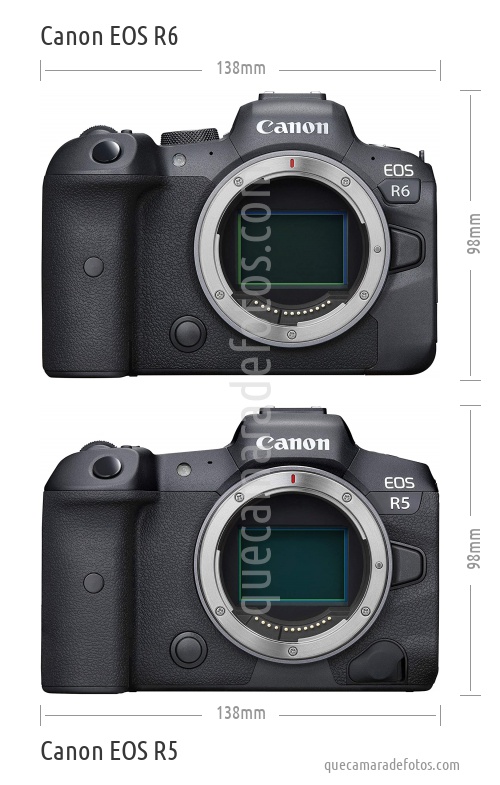 Canon EOS R6 vs Canon EOS R5