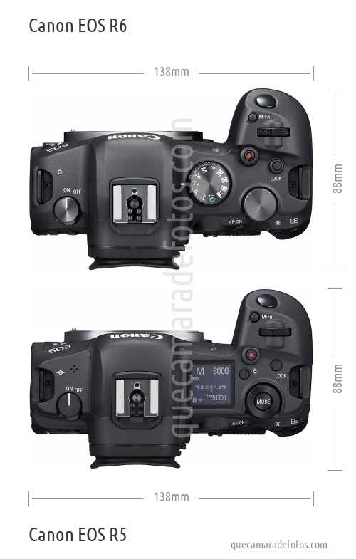 Canon EOS R6 vs Canon EOS R5