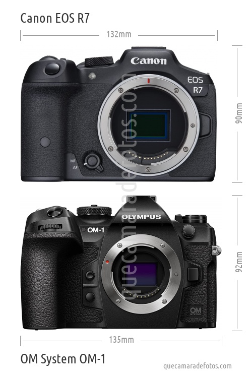 Canon EOS R7 vs OM System OM-1