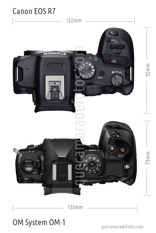 Canon EOS R7 vs OM System OM-1