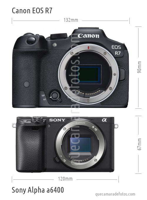 Canon EOS R7 vs Sony Alpha a6400