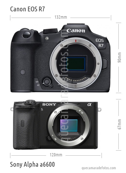 Canon EOS R7 vs Sony Alpha a6600