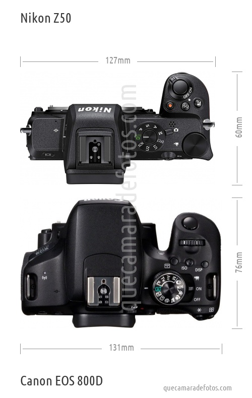 Nikon Z50 vs Canon EOS 800D