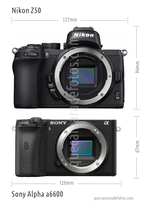 Nikon Z50 vs Sony Alpha a6600