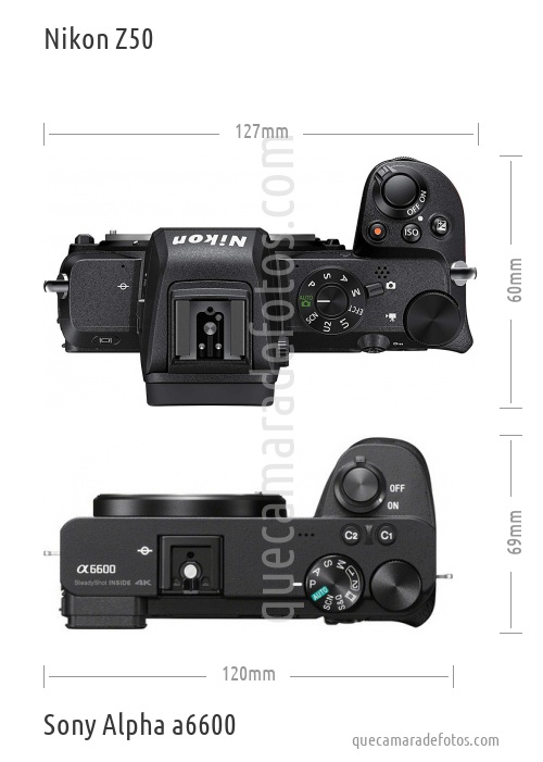 Nikon Z50 vs Sony Alpha a6600