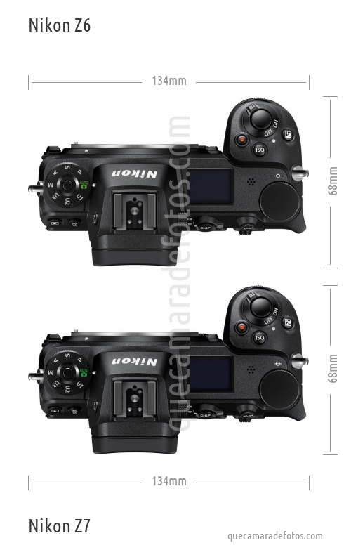 Nikon Z6 vs Nikon Z7