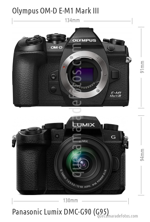 Olympus OM-D E-M1 Mark III vs Panasonic Lumix DMC-G90 (G95)