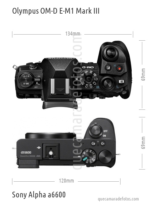 Olympus OM-D E-M1 Mark III vs Sony Alpha a6600
