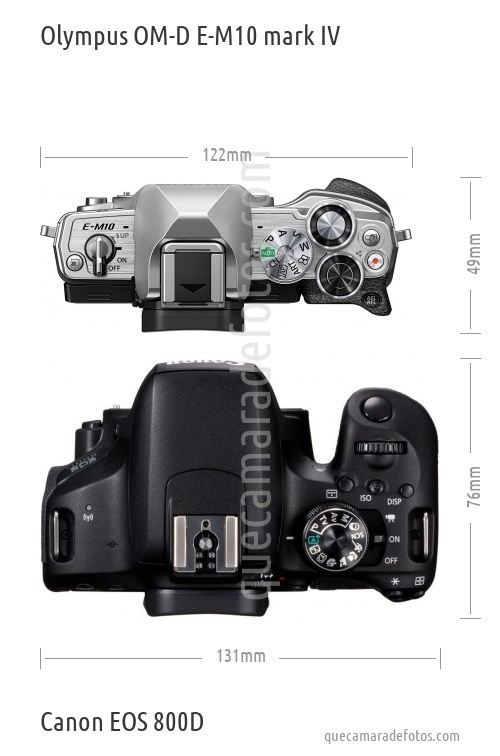 Olympus OM-D E-M10 mark IV vs Canon EOS 800D