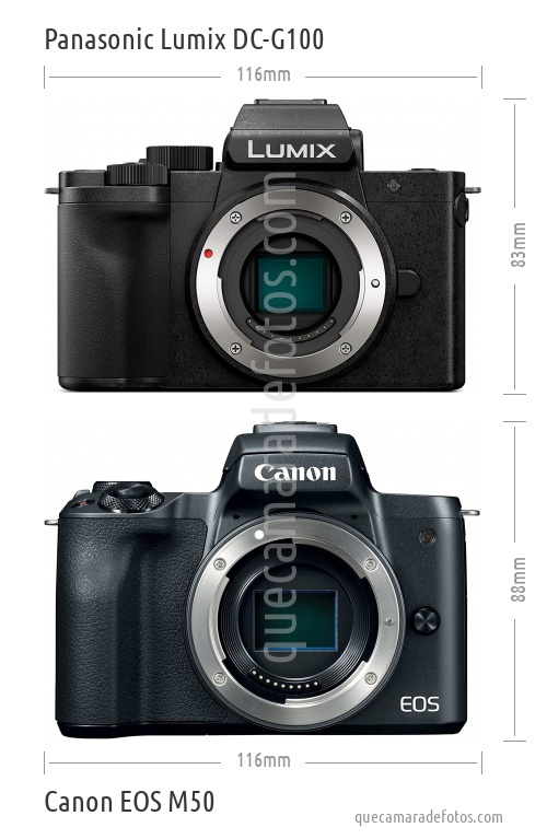 Panasonic Lumix DC-G100 vs Canon EOS M50