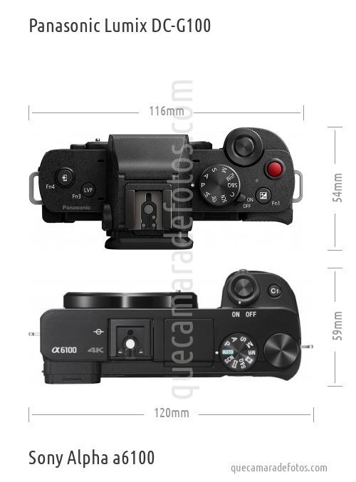 Panasonic Lumix DC-G100 vs Sony Alpha a6100