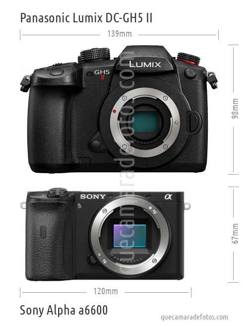 Panasonic Lumix DC-GH5 II vs Sony Alpha a6600