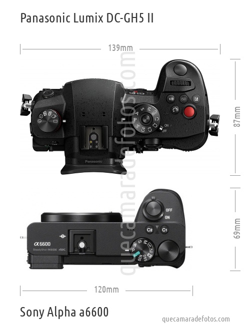 Panasonic Lumix DC-GH5 II vs Sony Alpha a6600