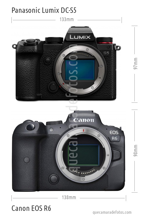 Panasonic Lumix DC-S5 vs Canon EOS R6