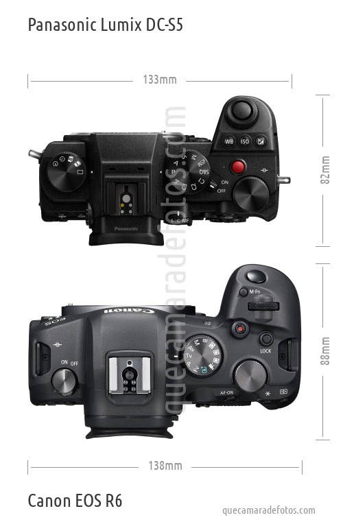 Panasonic Lumix DC-S5 vs Canon EOS R6