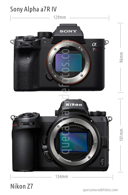 Sony Alpha a7R IV vs Nikon Z7
