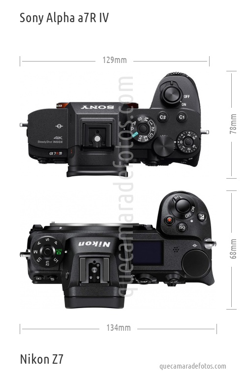 Sony Alpha a7R IV vs Nikon Z7