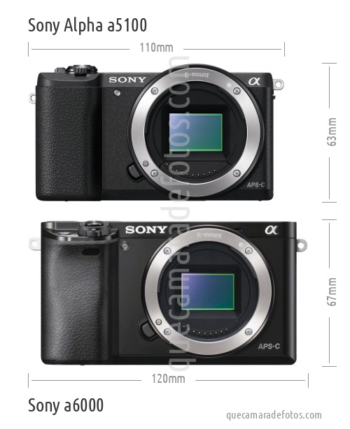 Sony Alpha a5100 vs Sony a6000
