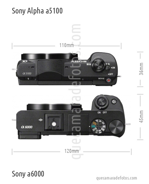 Sony Alpha a5100 vs Sony a6000