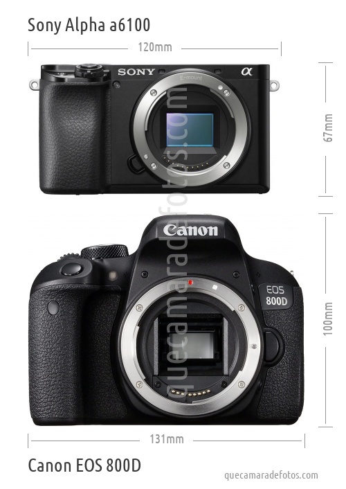 Sony Alpha a6100 vs Canon EOS 800D