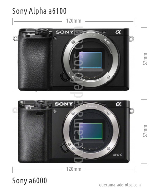 Sony Alpha a6100 vs Sony a6000