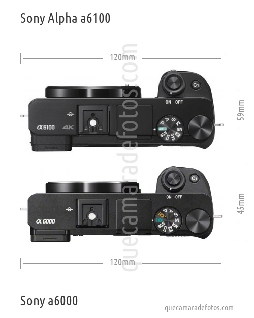 Sony Alpha a6100 vs Sony a6000