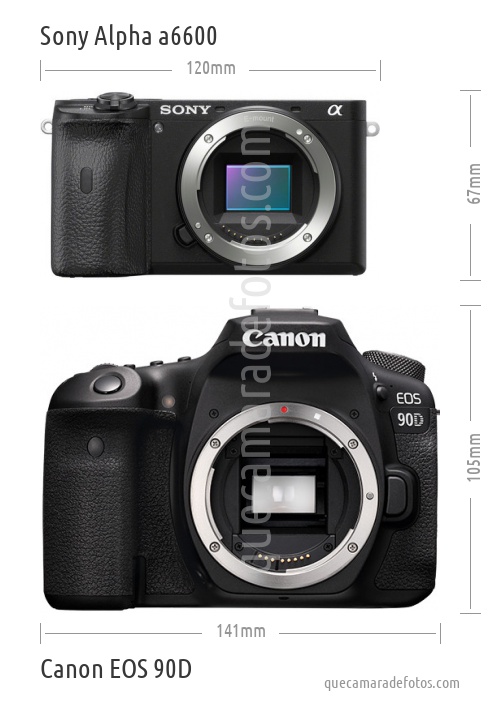 Sony Alpha a6600 vs Canon EOS 90D