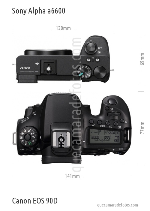 Sony Alpha a6600 vs Canon EOS 90D