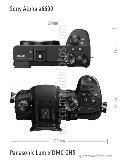 Sony Alpha a6600 vs Panasonic Lumix DMC-GH5